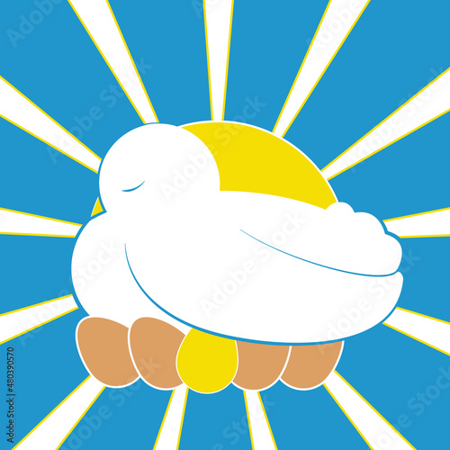 White dove with eggs.
