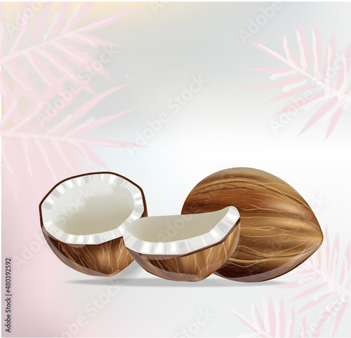 Coconut and palm leaves Vector realistic. Fresh sliced coconut fruit shells. ...