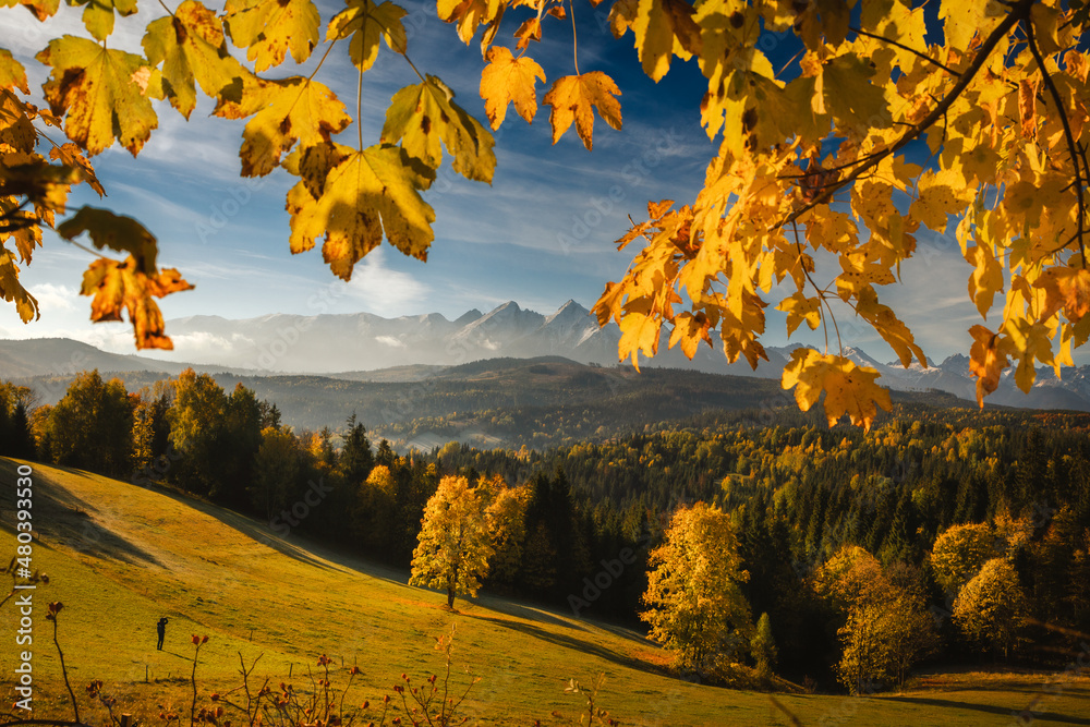 Colorful autumn near the Tatras. Peaks and hills bathed in the light of the setting sun.