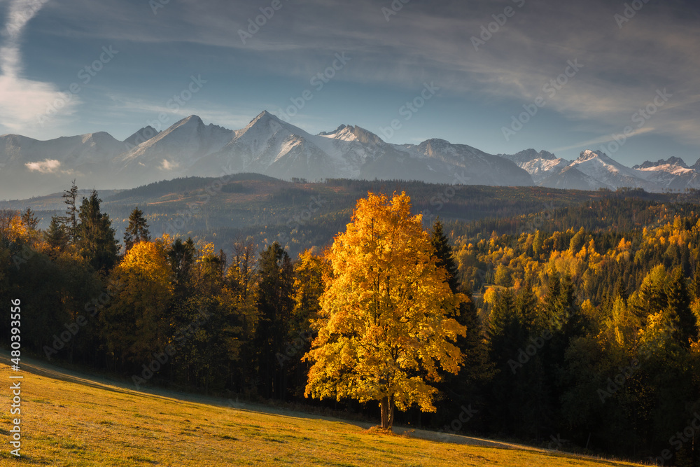 Colorful autumn near the Tatras. Peaks and hills bathed in the light of the setting sun. - obrazy, fototapety, plakaty 