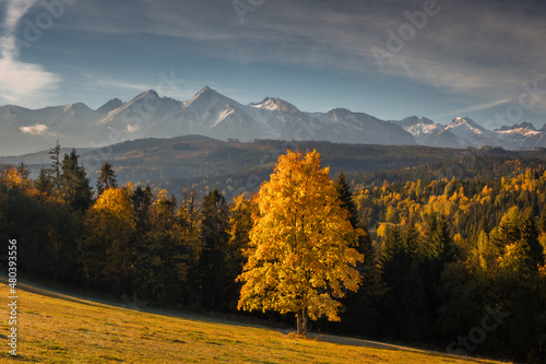 Fototapeta Naklejka Na Ścianę i Meble -  Colorful autumn near the Tatras. Peaks and hills bathed in the light of the setting sun.