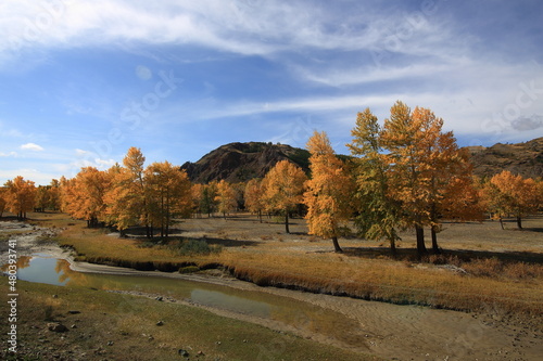 autumn landscape in the mountains