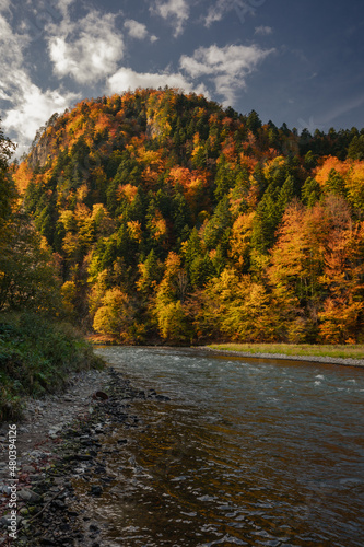 Fototapeta Naklejka Na Ścianę i Meble -  Beautiful and colorful autumn in the Pieniny Mountains with a view of the flowing river Dunajec.