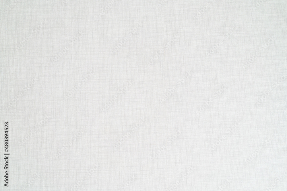 Japanese house wall White is popular for home use. The rubber is soft. empty space used as wallpaper. Popular in home design or interior design. with copy spaces. Japanese house wall White is popular for home use. The rubber is soft. empty space used as wallpaper. Popular in home design or interior design. with copy spaces.