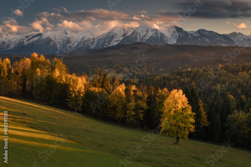 Colorful autumn near the Tatras. Peaks and hills bathed in the light of the setting sun.