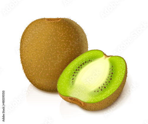 Kiwi. Exotic ripe juicy fruit, Isolated on white background. Eps10 vector illustration.