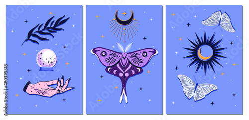 Esoteric wall art vector set. Artistic drawing of the foliage line with an abstract shape and butterflies. Plant art design for printing, cover art, wallpaper.