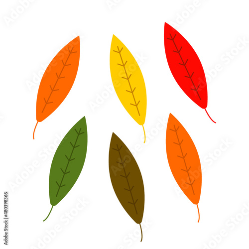Colorful autumn leaves / farverige efterårsblade, Vector photo