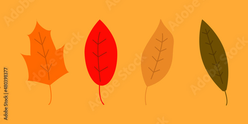 Autumn leaves on orange background / efterårsblade på en orange baggrund, Vector photo