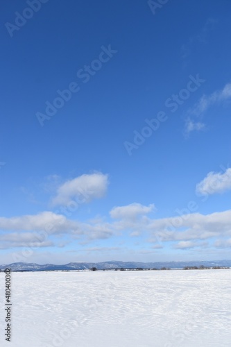 A snowy field under a blue sky, Montmagny, Québec, Canada