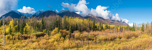 Panoramic landscape in Yukon Territory, northern Canada during September with spectacular fall, autumn colors on perfect blue sky day with huge mountains of Kluane National Park. 