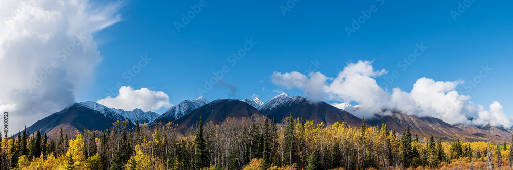 Panoramic landscape in Yukon Territory, northern Canada during September with spectacular fall, autumn colors on perfect blue sky day with huge mountains of Kluane National Park. 