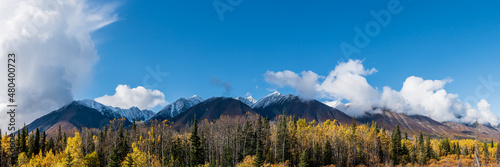 Panoramic landscape in Yukon Territory, northern Canada during September with spectacular fall, autumn colors on perfect blue sky day with huge mountains of Kluane National Park. 