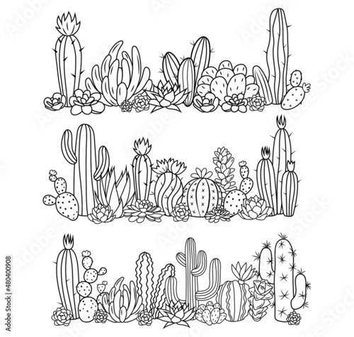 Set of cactus border. Collection of wall succulents flower. Gardening plants. Floral exotic decor. Vector illustration on white background.