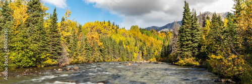 River running through the boreal forest of Canada during fall, autumn season with spruce trees surrounding the rushing water scenic view. 