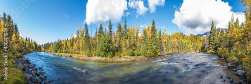 River running through the boreal forest of Canada during fall, autumn season with spruce trees surrounding the rushing water scenic view. 