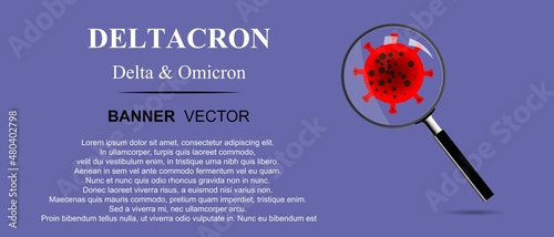 New strain covid-19 - Deltacron. Magnifying Glass Search on a Very Peri background. Treatment concept. Banner.