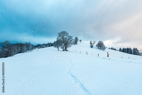 Winter on Cienkow in Beskid Slaski mountains in Poland