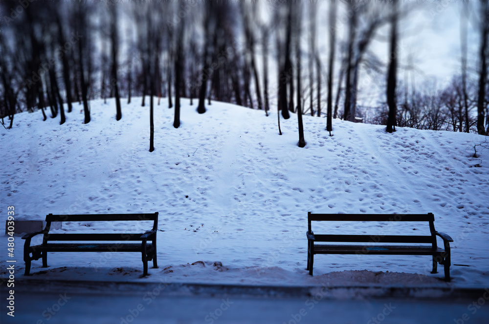 Two empty benches in winter park backdrop