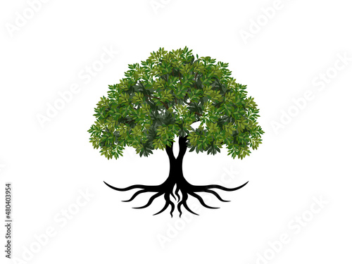 dynamic tree logo design with roots. realistic tree model in balance shape.