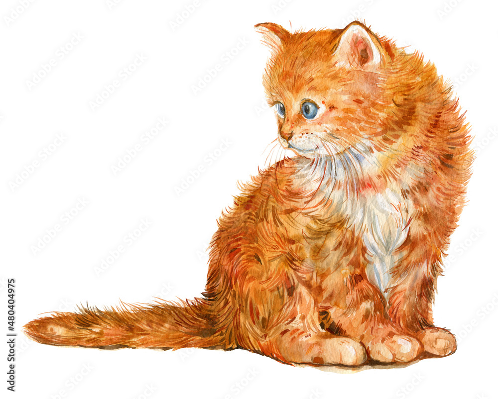 Kitten in watercolor Stock Illustration | Adobe Stock