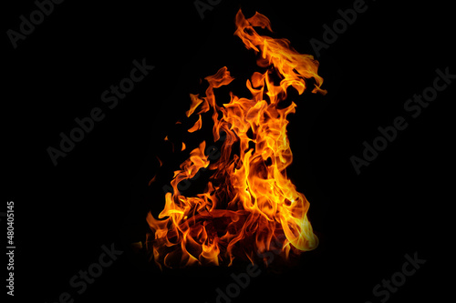 Fire flames on black background. abstract fire flame background.