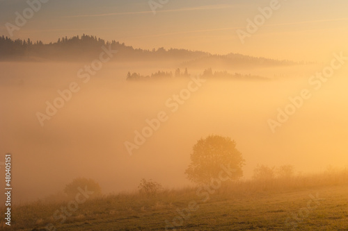 Foggy, autumn morning in the Pieniny Mountains. Light and fog create an amazing mood in the photo.