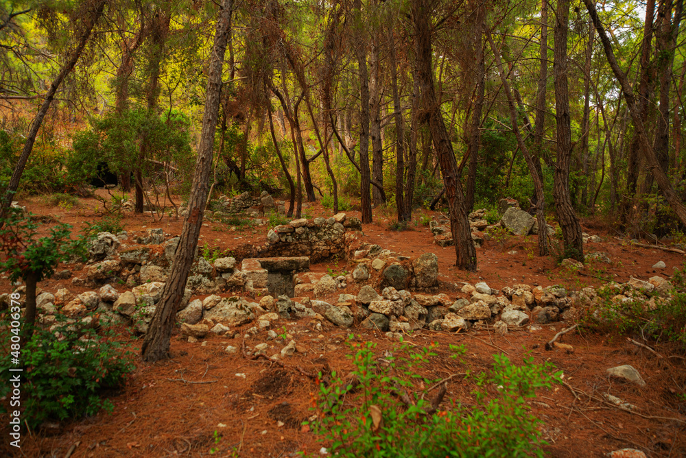 PHASELIS, TURKEY: Ruins of the Ancient city of Phaselis in the forest. PHASELIS, TURKEY: Ruins of the Ancient city of Phaselis in the forest.