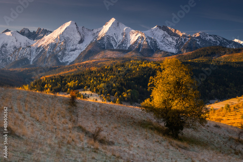Autumn views of the Tatra Mountains from the surrounding hills. You can see the contrast between the snow above and the yellow leaves below.