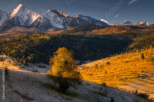 Autumn views of the Tatra Mountains from the surrounding hills. You can see the contrast between the snow above and the yellow leaves below.