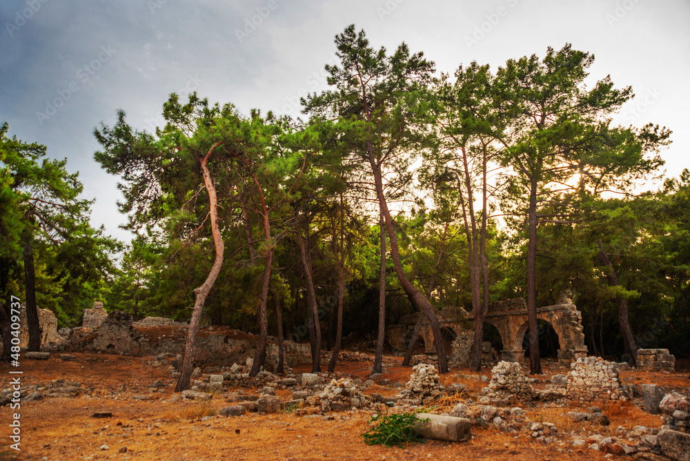 PHASELIS, TURKEY: Ruins of the Ancient city of Phaselis in the forest. PHASELIS, TURKEY: Ruins of the Ancient city of Phaselis in the forest.