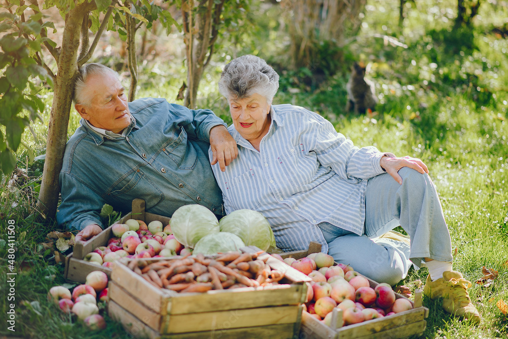 Old couple sittingin a summer garden with harvest