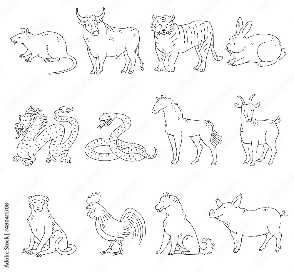Chinese zodiac horoscope of twelve animals line art. Vector doodle set Eastern astrological calendar black outline on white background.