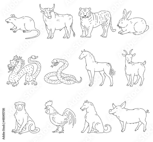 Chinese zodiac horoscope of twelve animals line art. Vector doodle set Eastern astrological calendar black outline on white background.