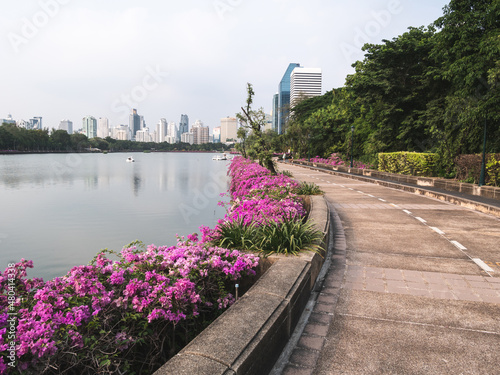 Benjakitti Park (Benchakitti) in the Khlong Toei District of Bangkok, Thailand. Lake Ratchada Tower and Ocean Tower 1 skyscrapers complex.