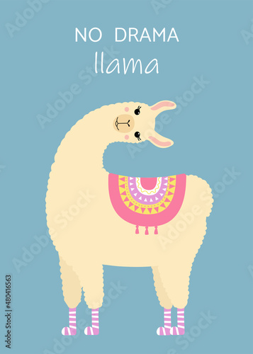 Cute llama turning her head. Motivational text No drama llama. T-shirt, greeting card, stationery, poster template print