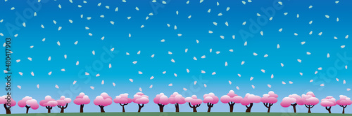 青空に桜が舞う春の風景3