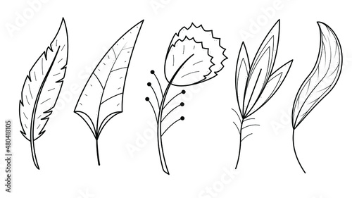 Abstract Set Doodle Elements Hand Drawn Collection Birds Feather Elements Vector Desgin Style