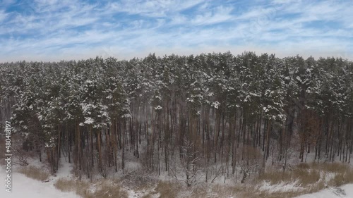 Wallpaper Mural Aerial View Falling Snow on Trees in the Forest Torontodigital.ca