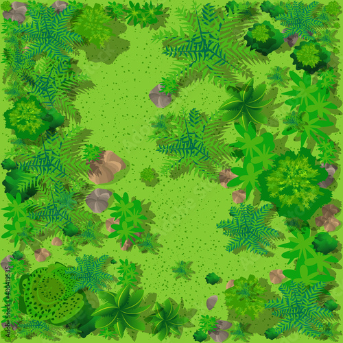 Top view of the countryside with forest, grass with stones and trees