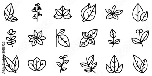 Oregano icons set outline vector. Herb aroma