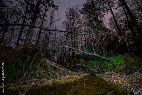 Bartons Creek in Raleigh, North Carolina photo