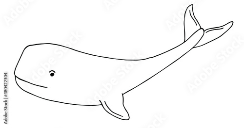 Collection hand drawn whales isolated on white background. Giant sea and ocean creatures. Coloring book page design for adults and kids