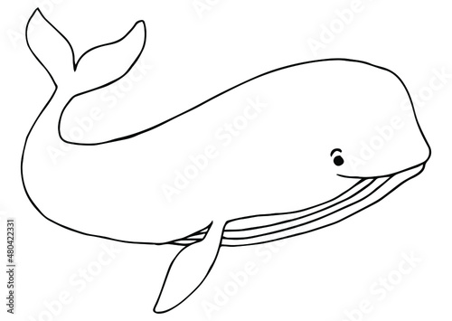 Collection hand drawn whales isolated on white background. Giant sea and ocean creatures. Coloring book page design for adults and kids