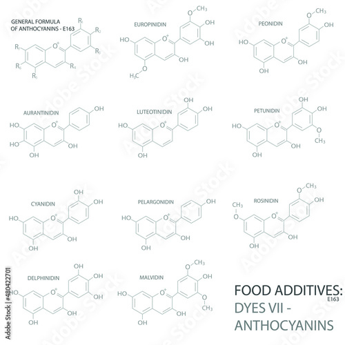 Anthocyanins E163 molecular skeletal chemical formula. (Food Additives, DYES VII)