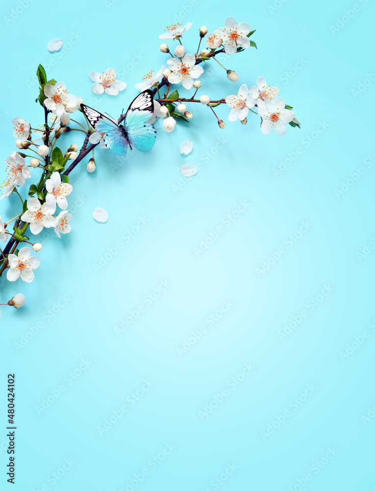 Flowering branches and petals on a blue background and butterfly.