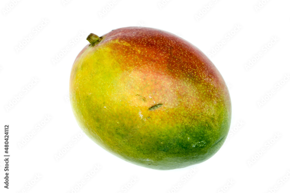 Mango isolated on white background. Mango isolated on white background.