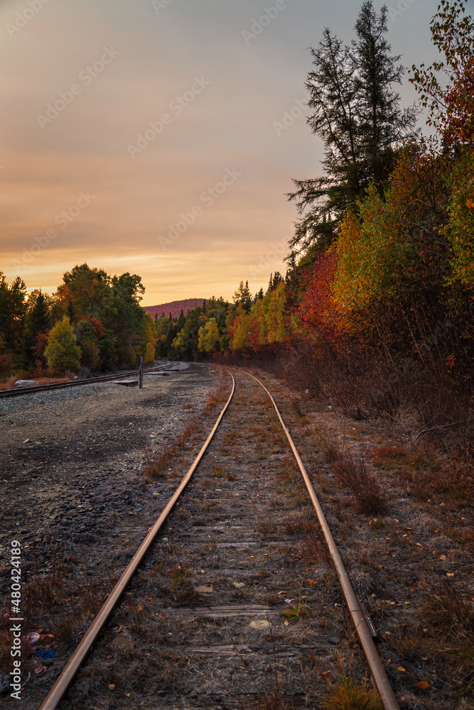 Fall Season in New Hampshire