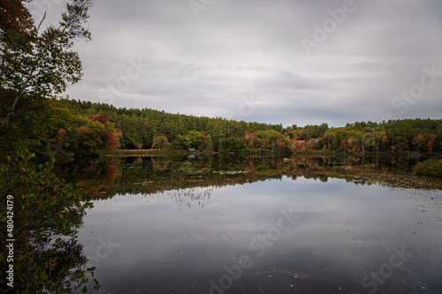 Fototapeta Naklejka Na Ścianę i Meble -  Fall Season in New Hampshire