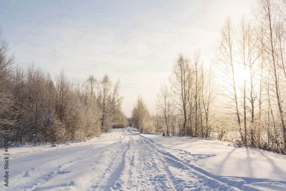 Snow covered road in the forest in winter